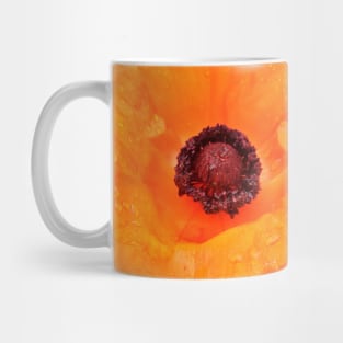 Beautiful Orange Poppy  - Early Spring Blooms Mug